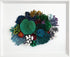 coral reef wall art